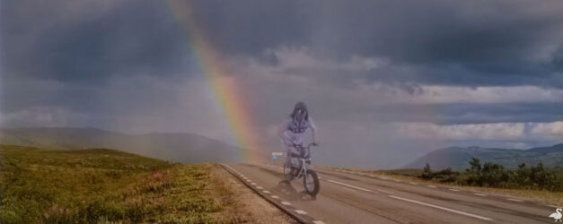 Goose is going in Your Direction